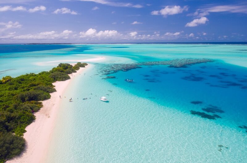 maldives, tropics, nature