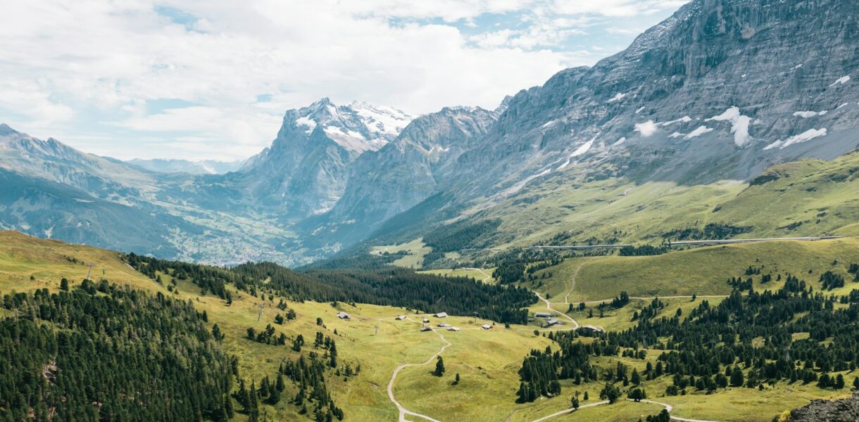 mountain filled with trees during daytime