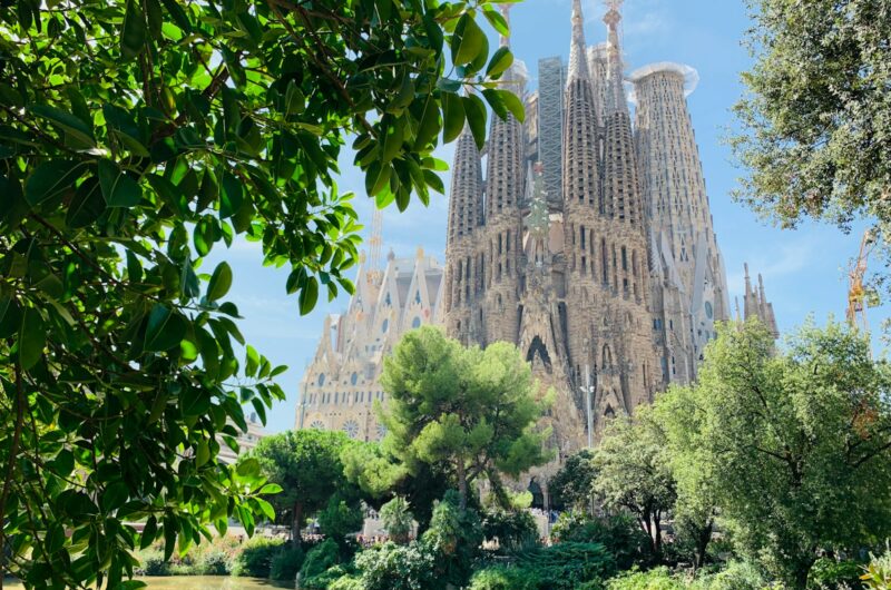 green trees near brown concrete building during daytime