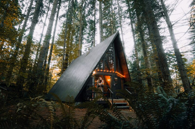 brown wooden house in the woods