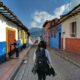 person in gray shirt with backpack walking on street between houses